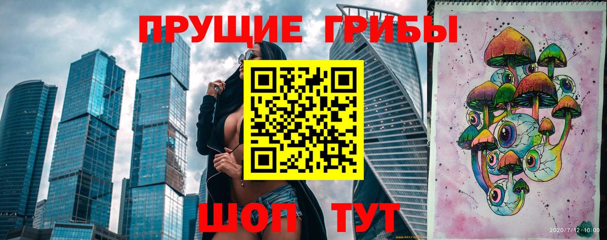 Галлюциногенные грибы Psilocybine cubensis  Вход с VPN  Псилоцибиновые грибы ЛСД  Заводоуковск 